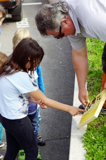 Einmal den Honig direkt von der Wabe probieren. (Bild: Thomas Krytzner)